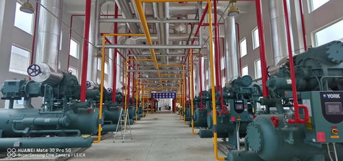 新時(shí)期中國物流冷庫項(xiàng)目 庫體保溫 制冷系統(tǒng)設(shè)計(jì)與設(shè)備選擇